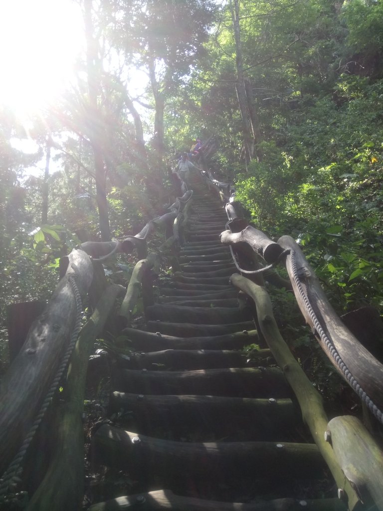 DSC_1250.JPG - 大坑四號步道  頭嵙山