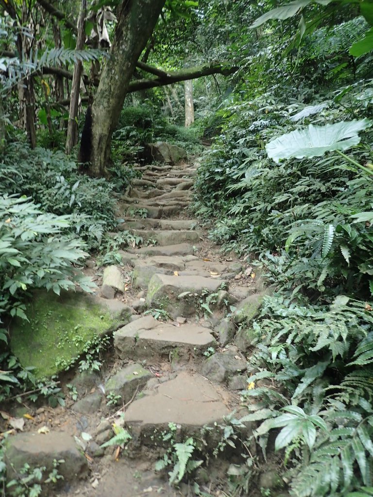 P2107478.JPG - 大溪  溪洲山登山步道