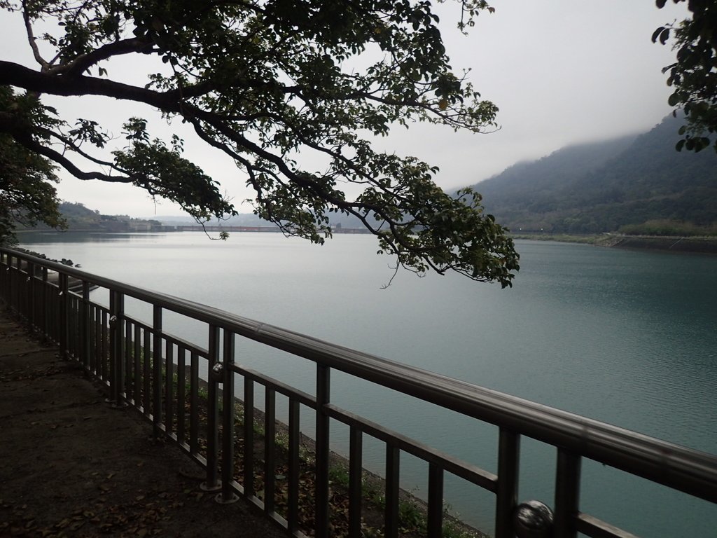 P2107687.JPG - 大溪  石門水庫  後池周遊