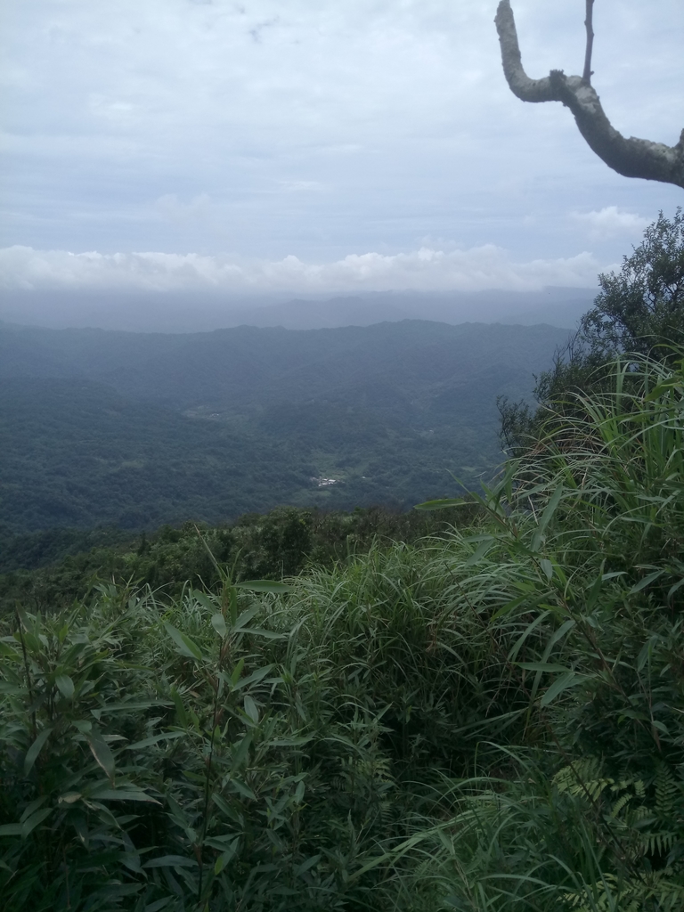 DSC_6573.JPG - 瑞芳  五分山登山步道