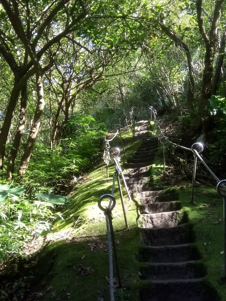 DSC_2173.JPG - 再訪---  平溪  孝子山登山步道