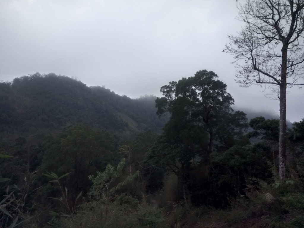 DSC_2873.JPG - 大湖  關刀山步道  (聖關段)