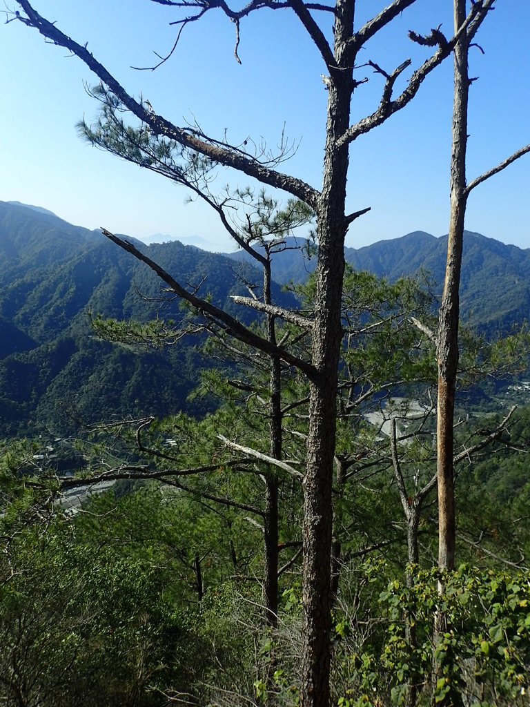 P3167186.JPG - 谷關  東卯山東南稜