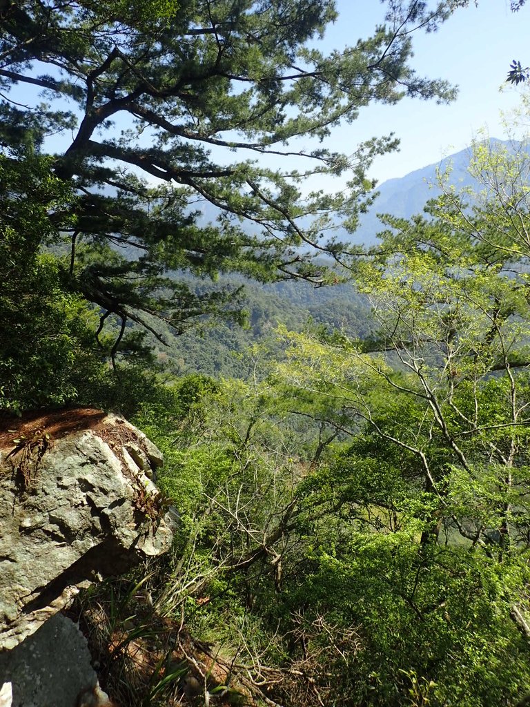 P3167300.JPG - 谷關  屋東縱走