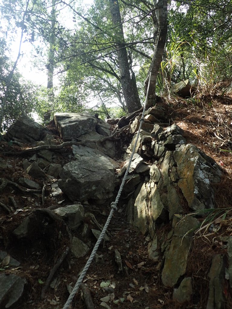 P3167330.JPG - 谷關七雄之  屋我尾山