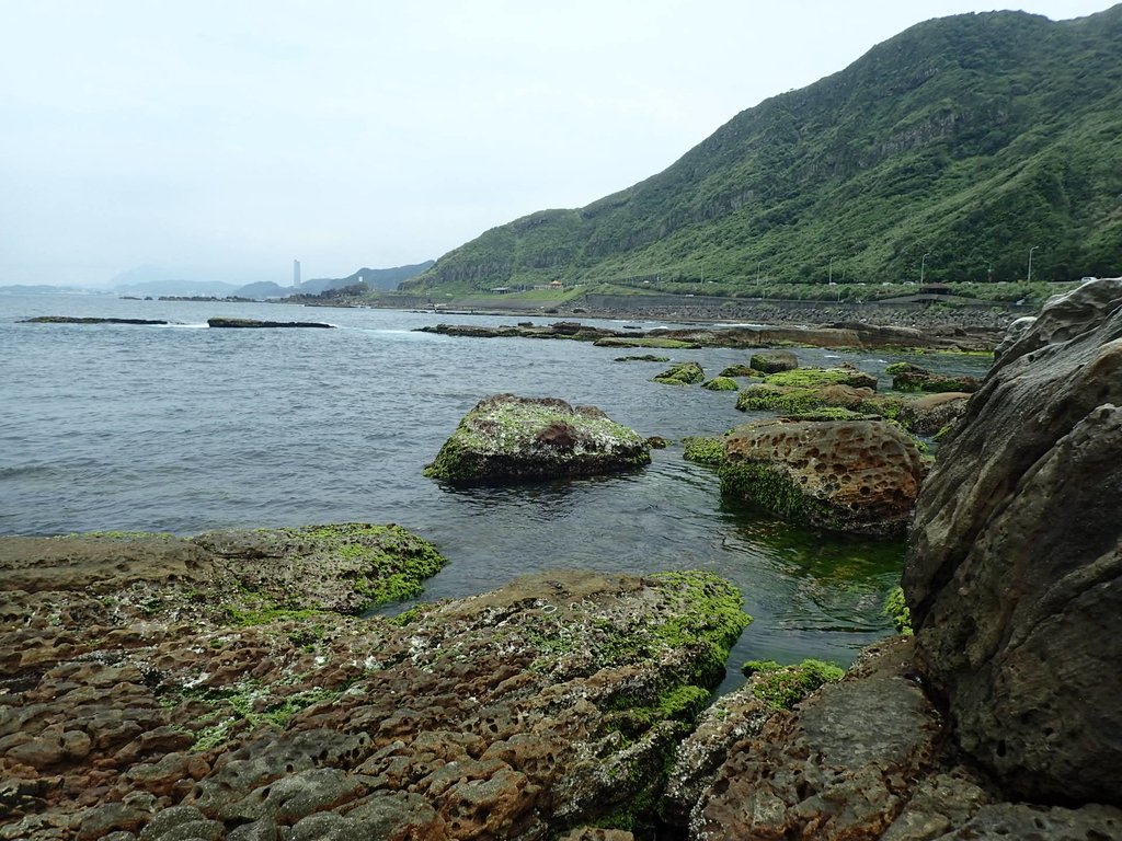 P5163276.JPG - 萬里  拳頭石海岸