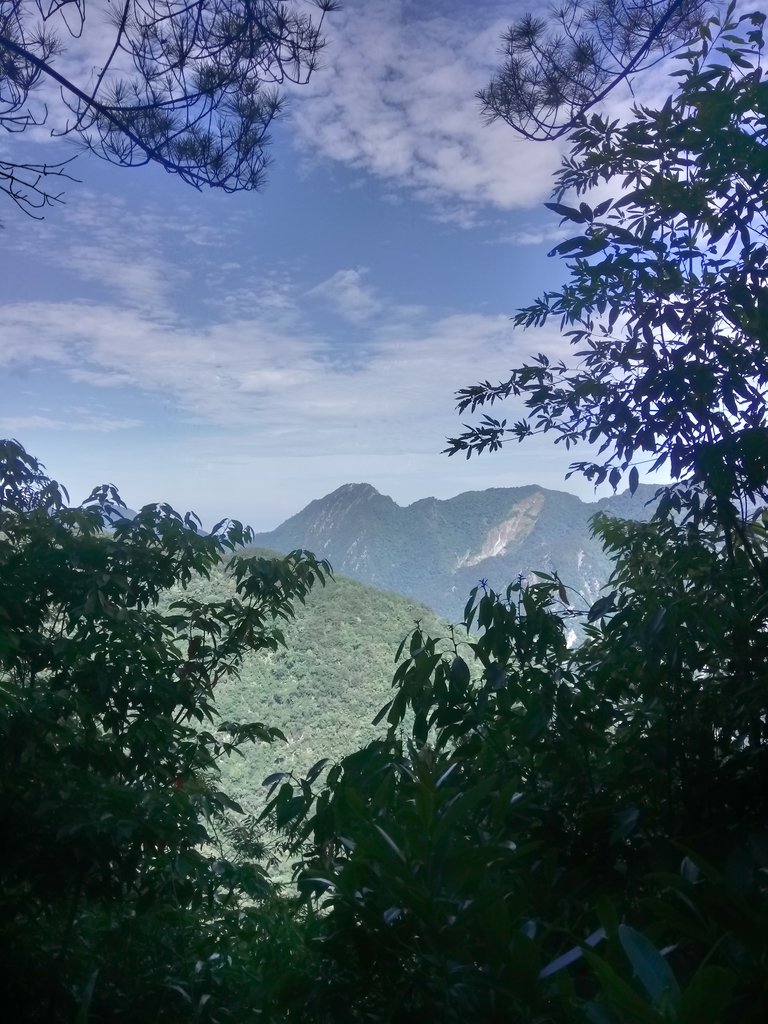 DSC_9900.JPG - 谷關七雄之  馬崙山  (下)