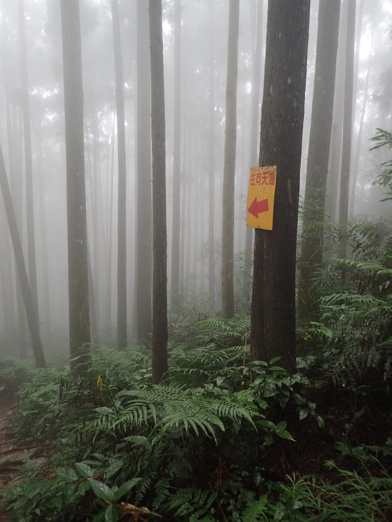 P9250204.JPG - 南庄  向天湖山  光天高山