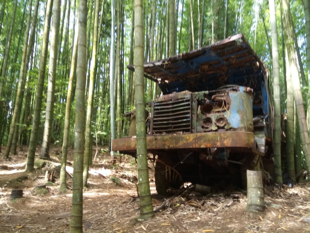 DSC_5230.JPG - 台中和平  長壽山登山步道  (中)