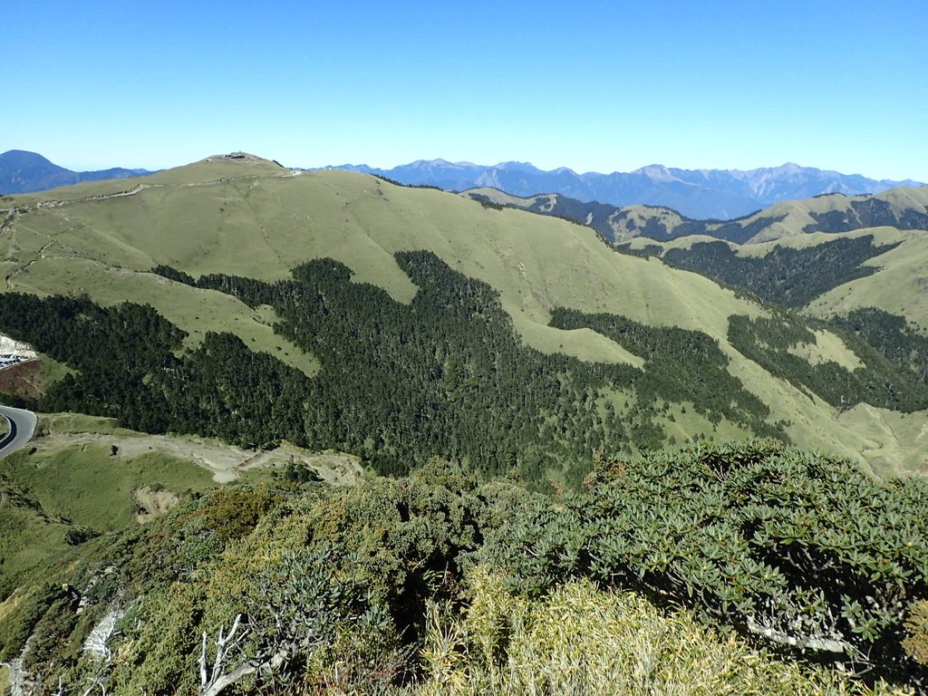 PC132155.JPG - 合歡山  東峰