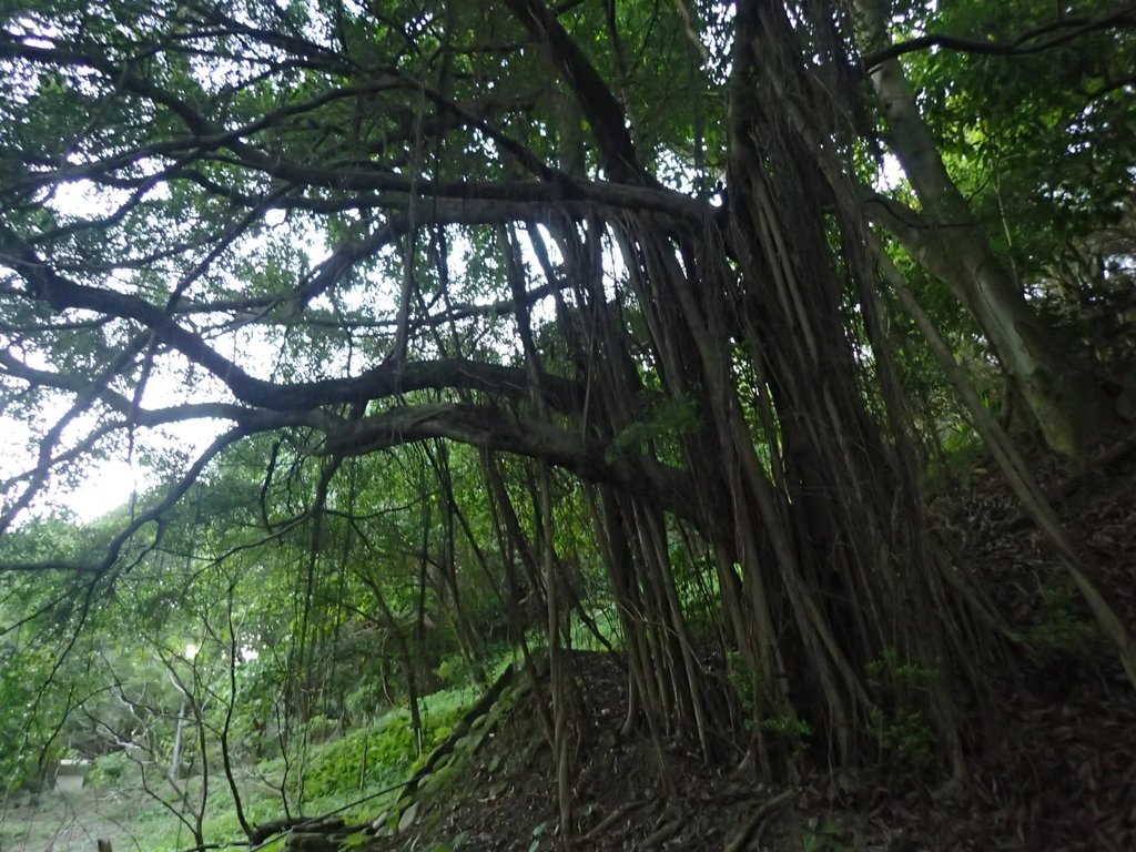 PC018113.JPG - 大直  正願禪寺