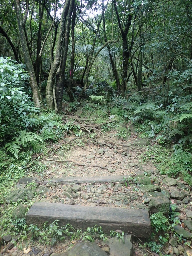 P1274361.JPG - 瑞芳  燦光寮古道初探