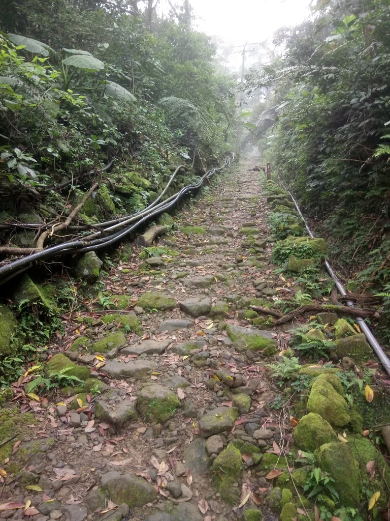 DSC_6189.JPG - 三峽  白雞山登山步道