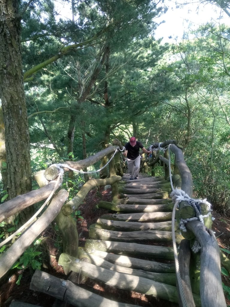 DSC_1252.JPG - 大坑四號步道  頭嵙山