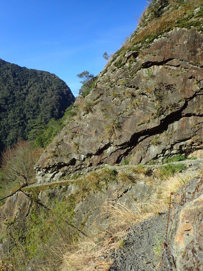 P1022745.JPG - 東埔  八通關古道