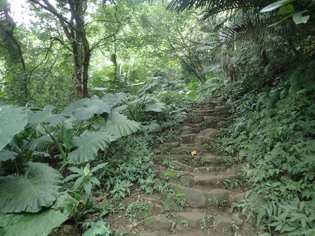 P2107480.JPG - 大溪  溪洲山登山步道