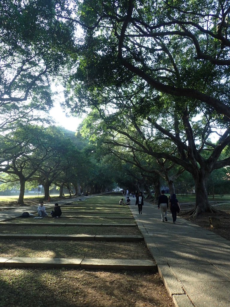 PA246580.JPG - 台中  東海大學校園巡禮