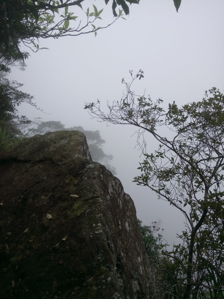 DSC_1270.JPG - 石壁山  嘉南雲峰步道