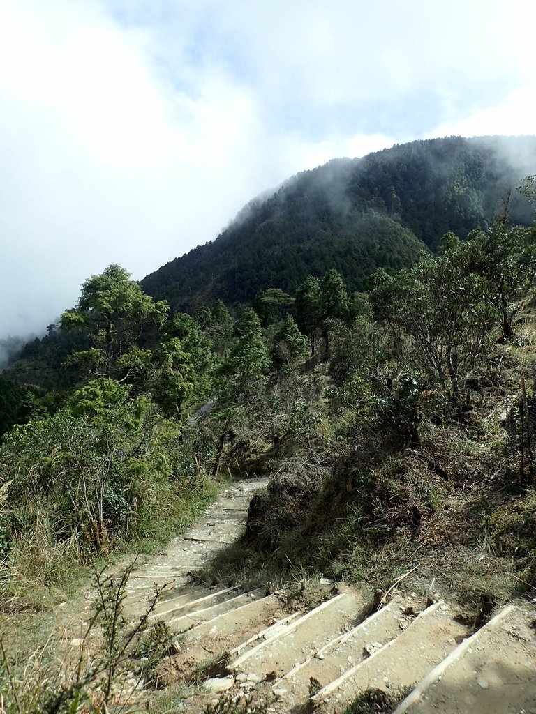 PB265392.JPG - 太平山  翠峰湖環山步道  02