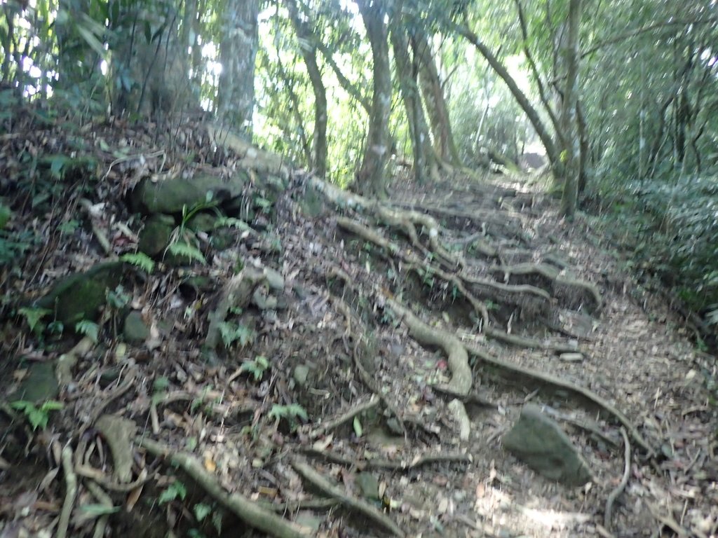 PA064419.JPG - 大湖  馬那邦山  (02)