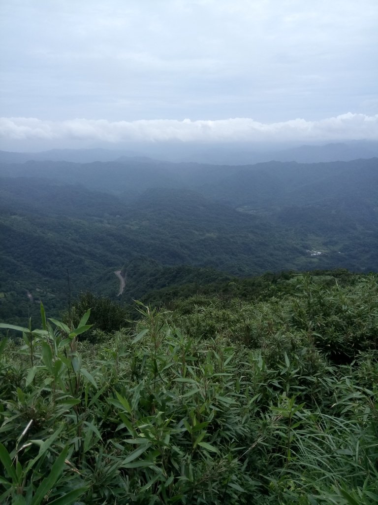 DSC_6575.JPG - 瑞芳  五分山登山步道