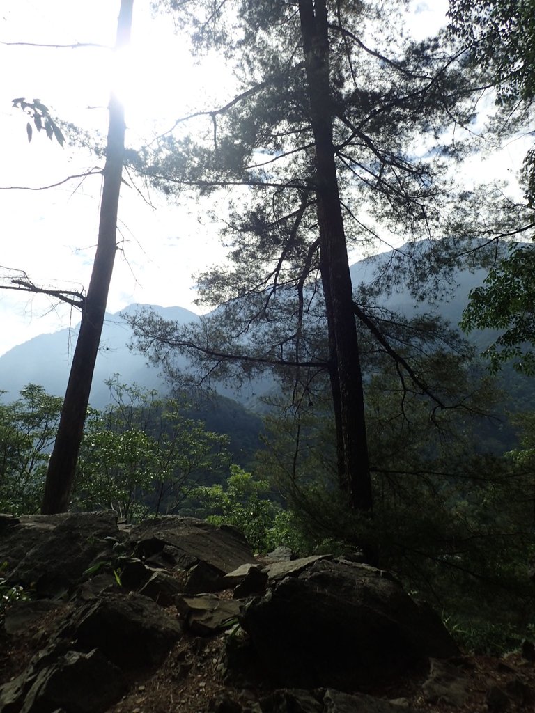 P5012280.JPG - 谷關七雄之  波津加山