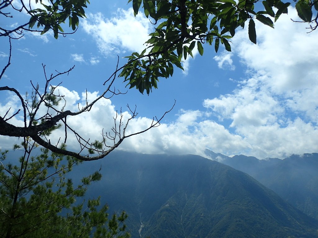 P5012326.JPG - 谷關七雄之  波津加山