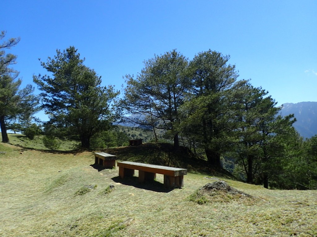 P3268149.JPG - 鹿林山  麟趾山步道  (02)