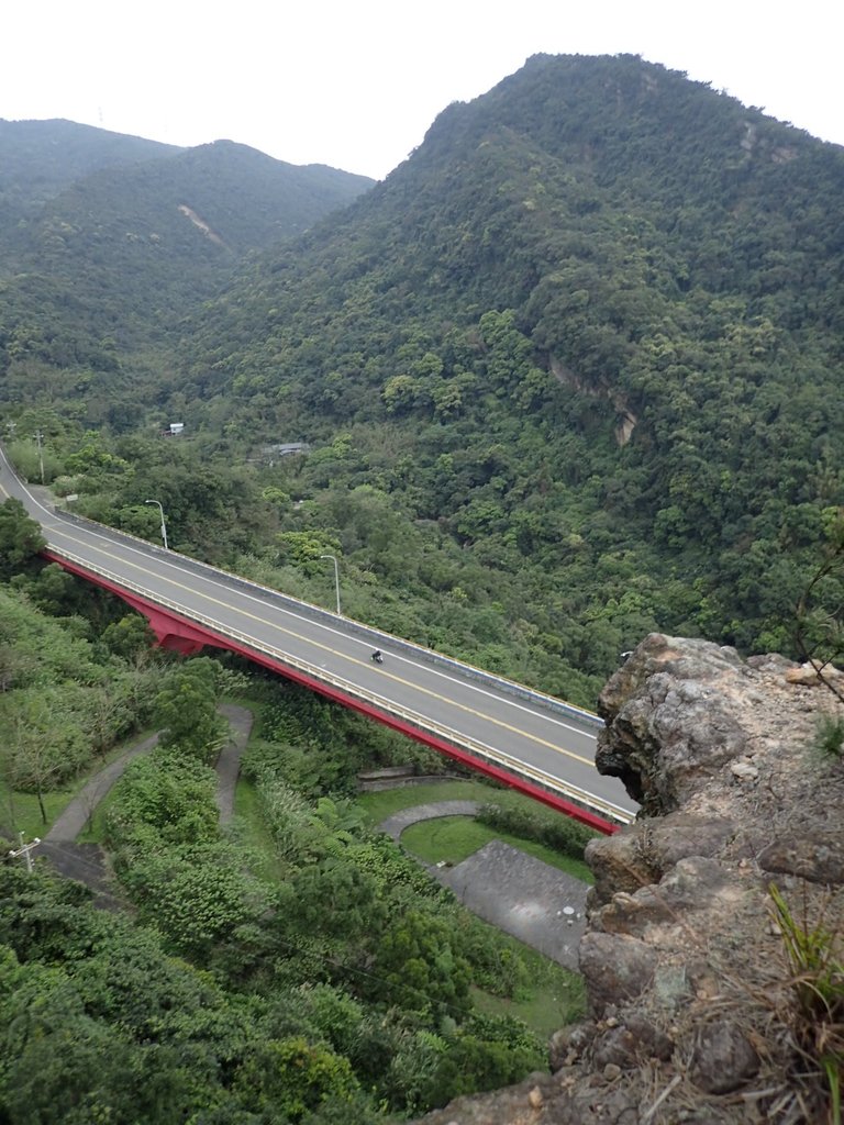 P3160173.JPG - 汐止  金面山(金明山)  稜線步道