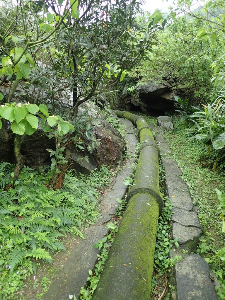 P3240573.JPG - 金瓜石之  內九份溪圳橋