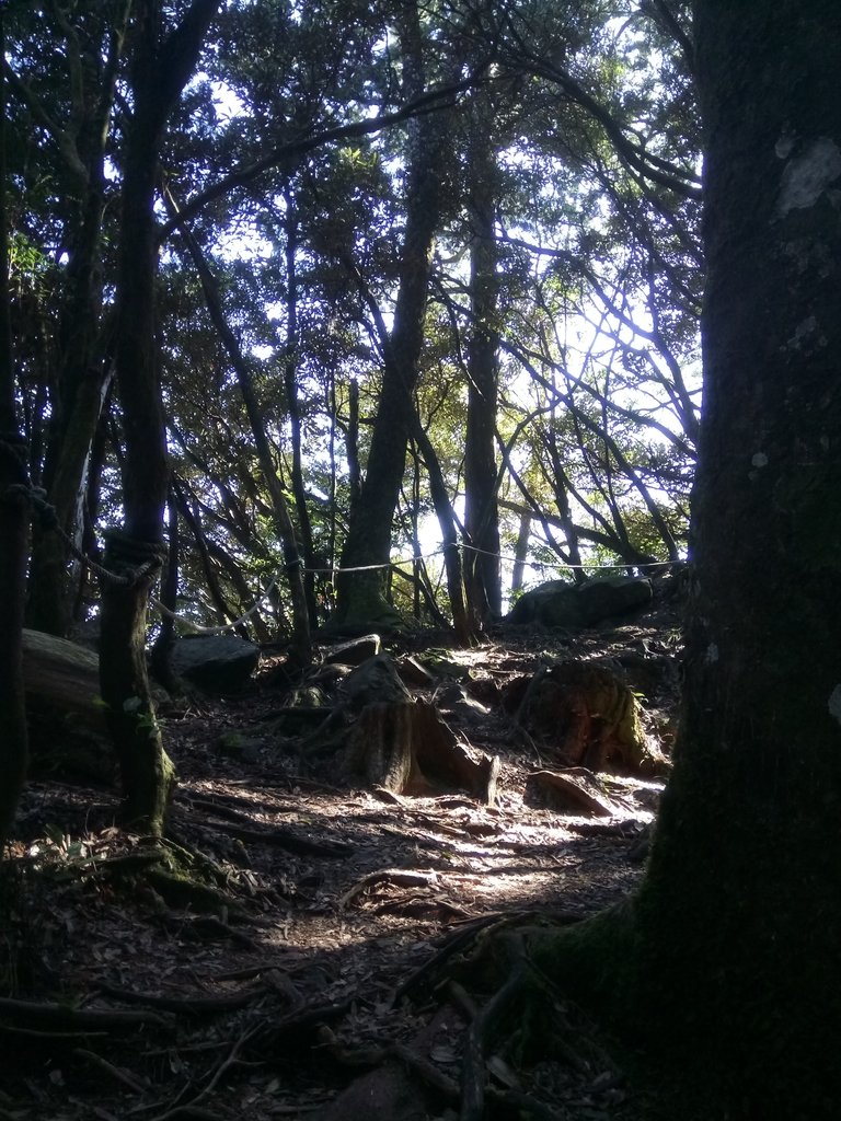 DSC_2626.JPG - 再訪---  台中  和平  鳶嘴山