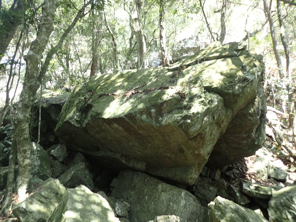 P3167304.JPG - 谷關  屋東縱走