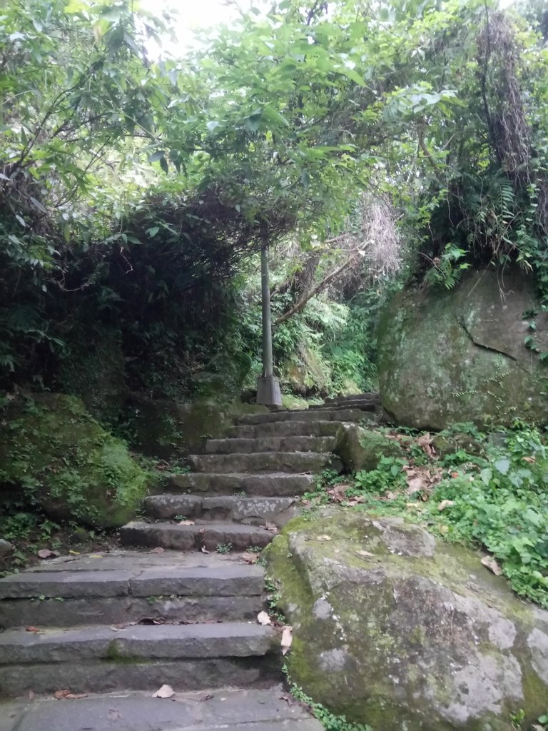 DSC_9243.JPG - 內湖  白鷺鷥山親山步道