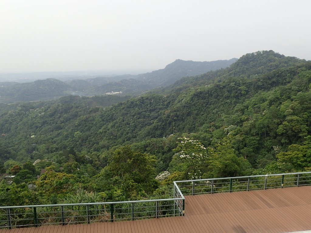 P4181802.JPG - 南庄  細湖頂  晴園山莊