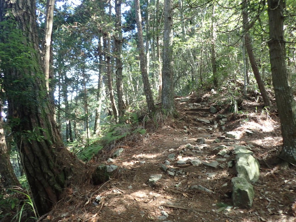 P6054045.JPG - 谷關七雄之  馬崙山  (上)