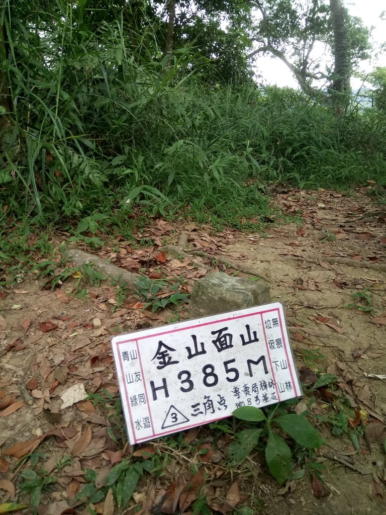 DSC_3010.JPG - 大溪  金面山登山步道