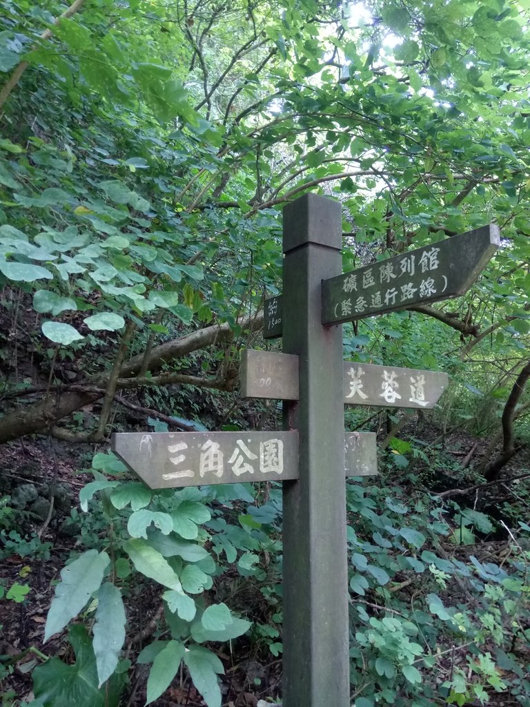 DSC_2114.JPG - 岡山  大崗山登山步道