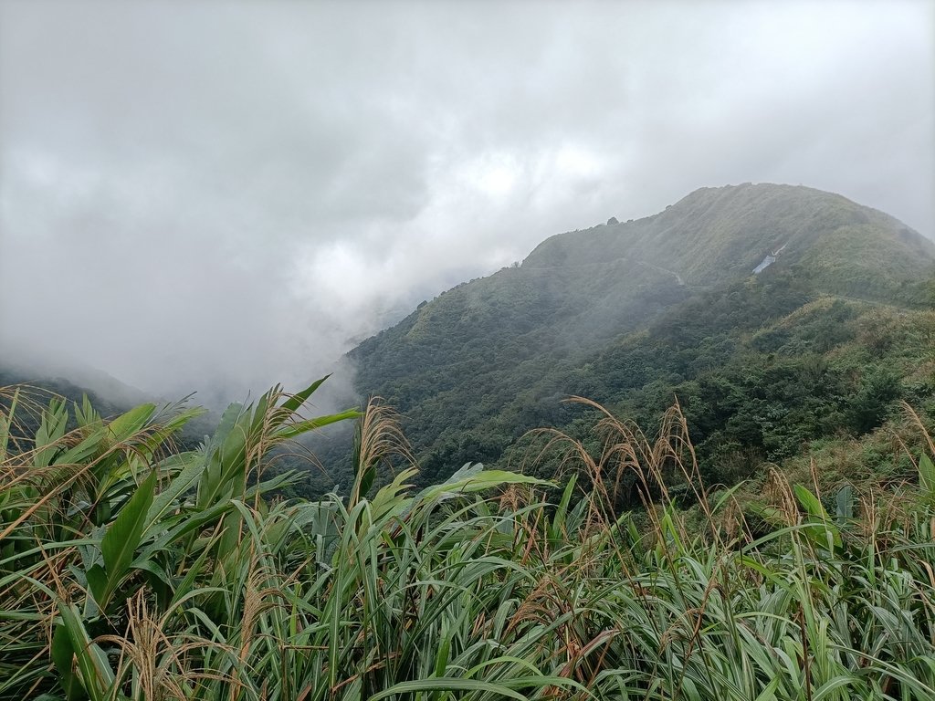 IMG20201226103652.jpg - 瑞芳  不厭亭之  煙雨山水