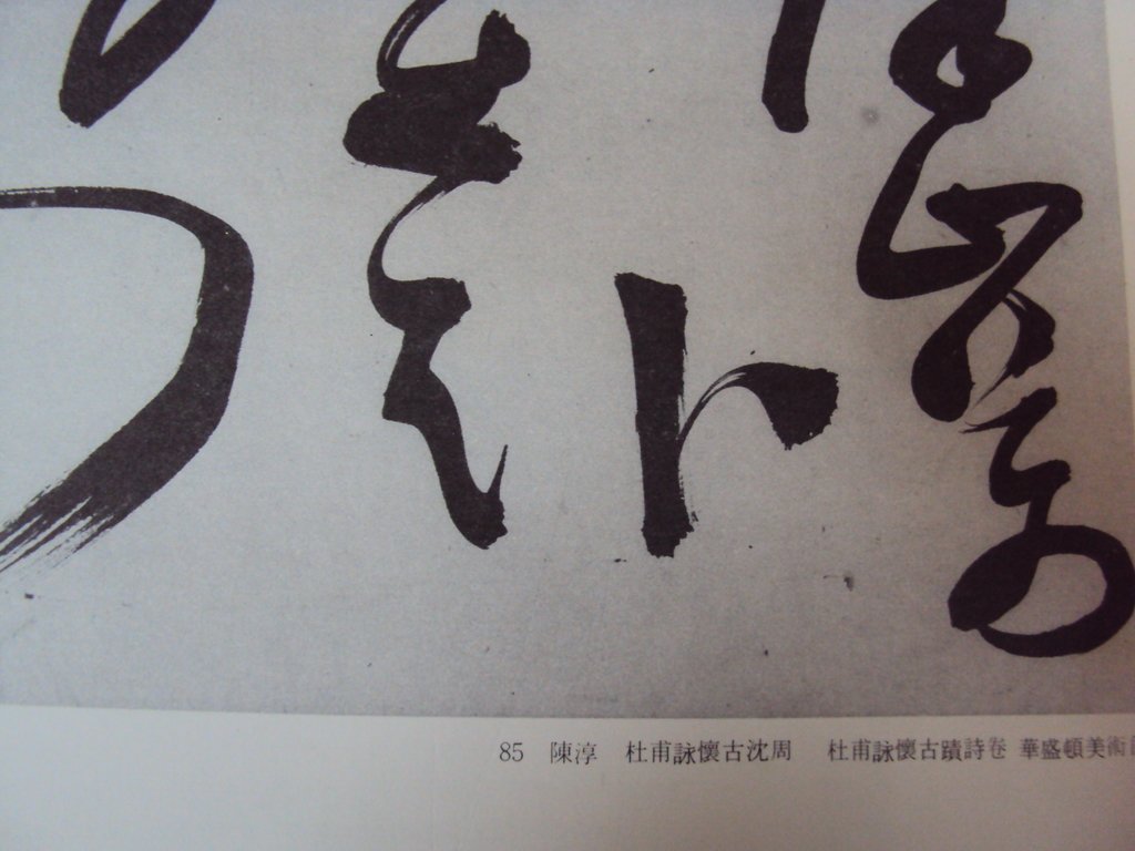 DSC00224.JPG - 陳淳的草書作品