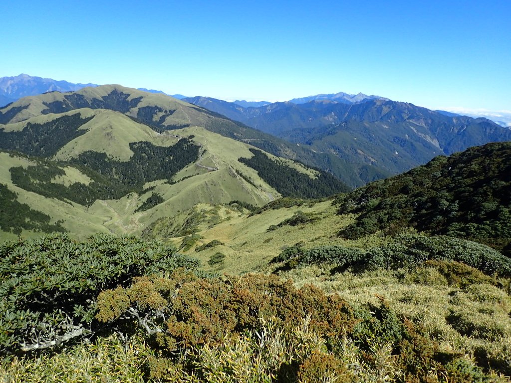 PC132156.JPG - 合歡山  東峰