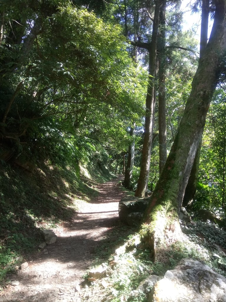 DSC_9009.JPG - 復興  東滿步道