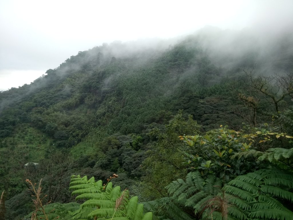 DSC_2370.JPG - 新店  獅子頭山隘勇線  01