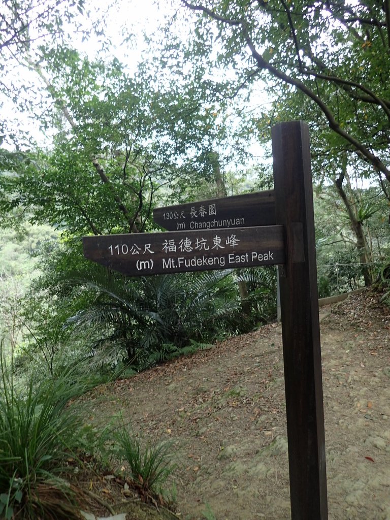 P2168002.JPG - 三峽  鳶尾山登山步道