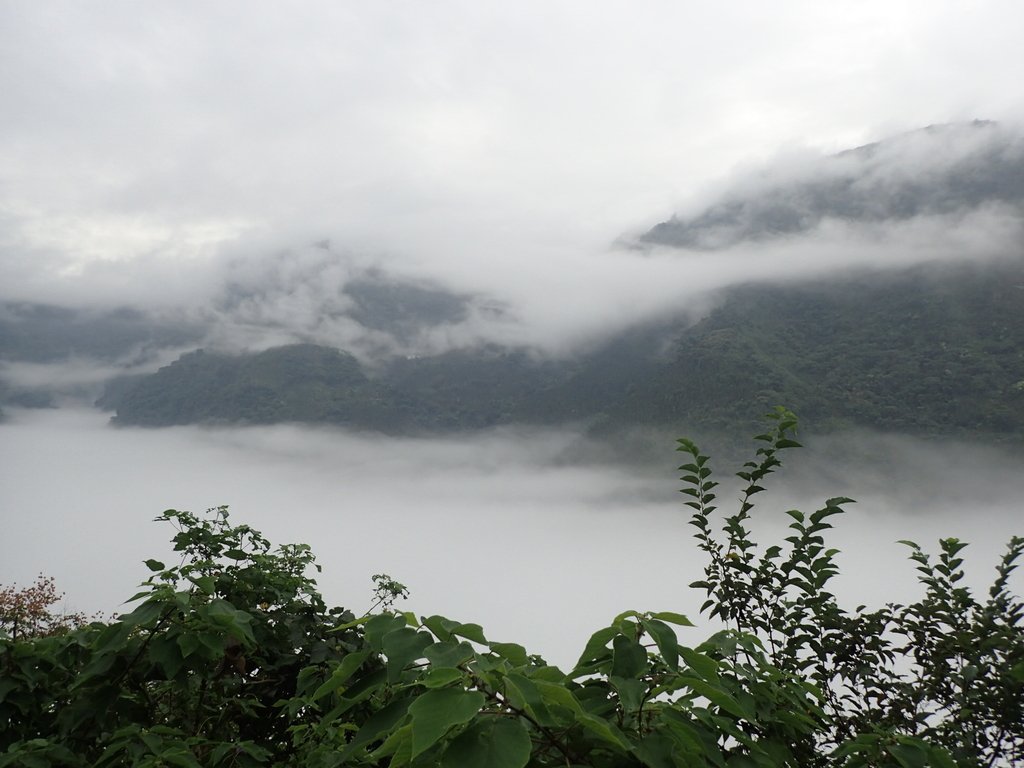 PA231544.JPG - 古坑  草嶺  雲山繚繞