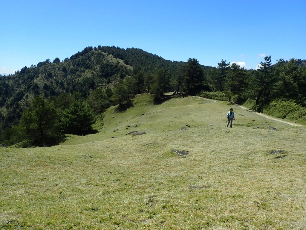 P3268152.JPG - 鹿林山  麟趾山步道  (02)