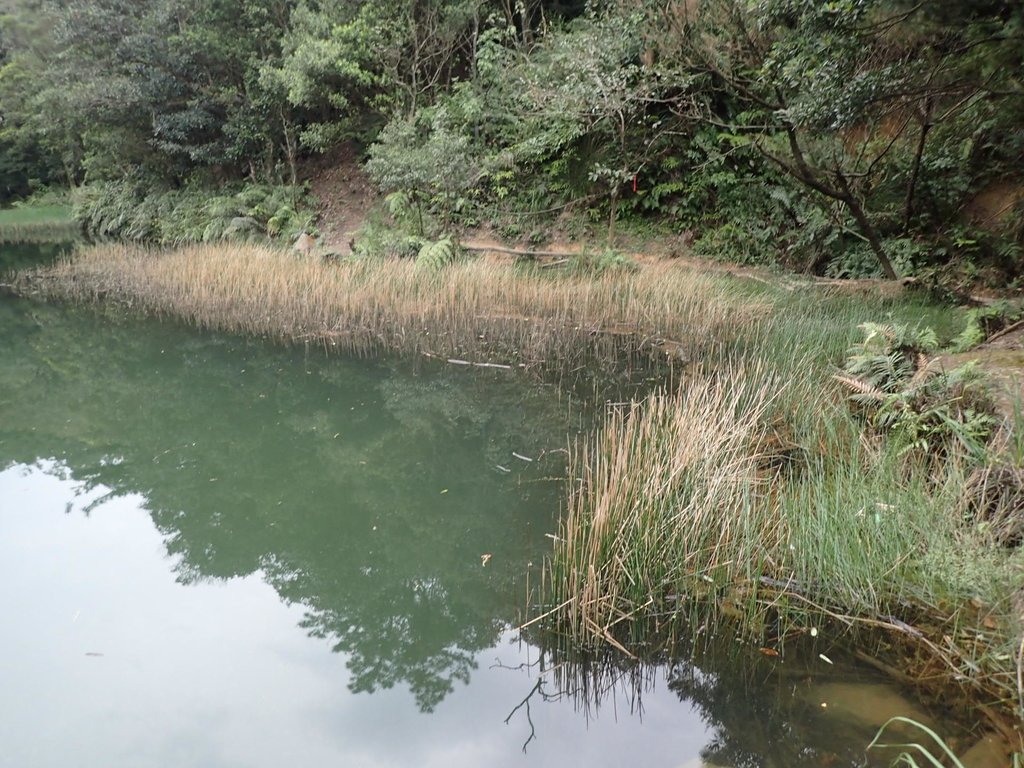 P3160120.JPG - 汐止  柯子林山  如意湖