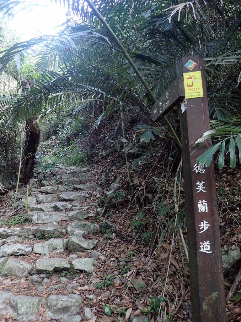 P3167107.JPG - 谷關  德芙蘭步道