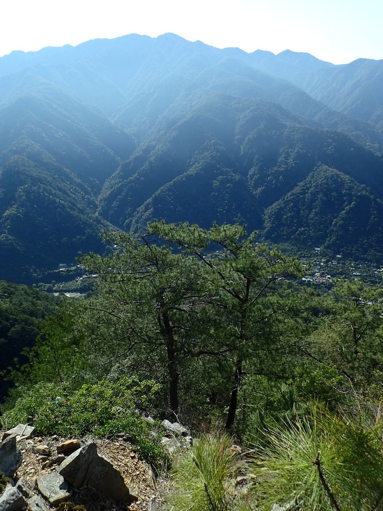 P3167190.JPG - 谷關  東卯山東南稜