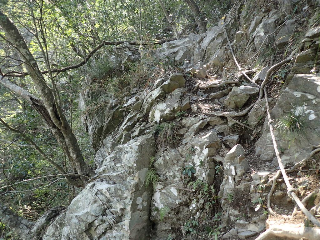 P3167338.JPG - 谷關七雄之  屋我尾山