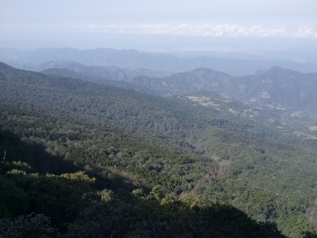 DSC_3620.JPG - 南庄  大坪林道  杜鵑嶺